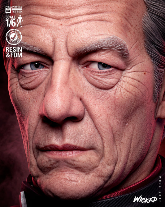 Magneto Resin Art (Wicked Studios)