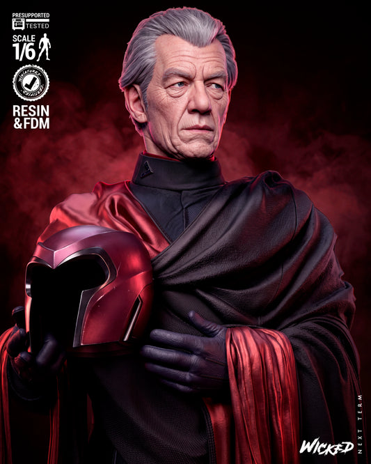 Magneto Resin Art (Wicked Studios)