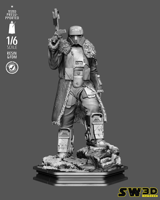 Ranger Trooper Resin Art - MTO (SW3D)