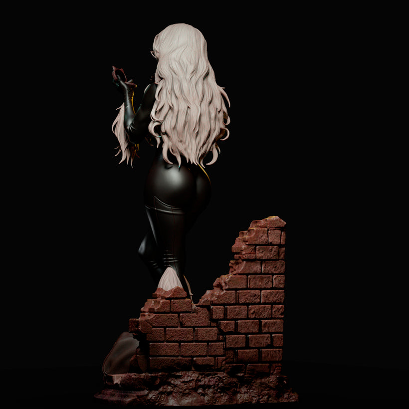 Black Cat Resin Art (Vyra Version)
