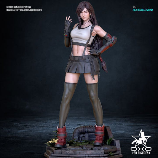 Tifa Lockhart Resin Art (Designed by OXO3D)