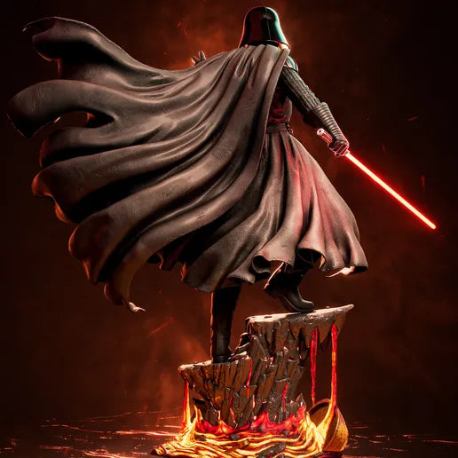 Darth Vader Resin Art (Tanuki Version)