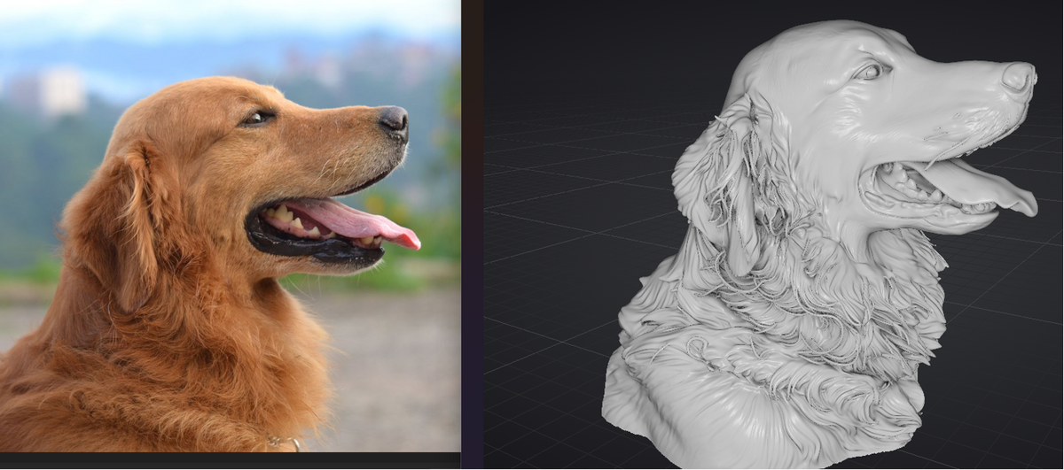 Personalized Memory 3D Print